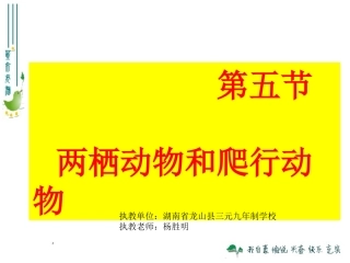 两栖动物和爬行动物