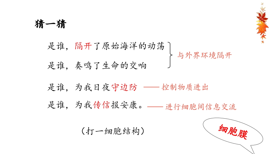 第二课时：细胞膜的结构与功能_第1页