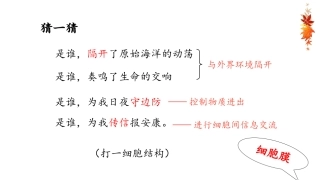 第二课时：细胞膜的结构与功能