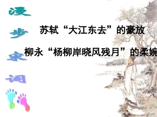 录课柳永蝶恋花