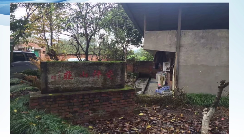 知觉动作训练在情障学生中的运用部门培训_第3页
