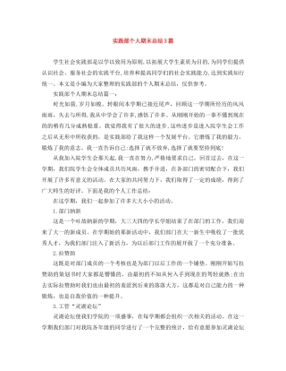 实践部个人期末总结3篇 