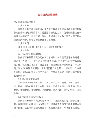 实习自我总结服装 