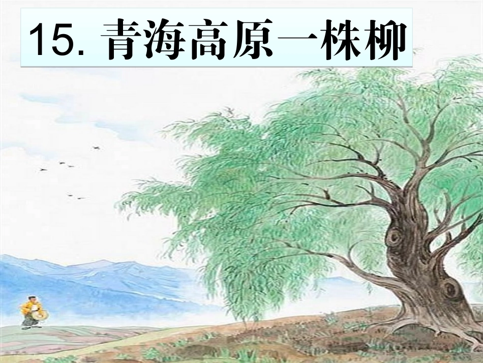 青海高原一株柳 (2)_第1页