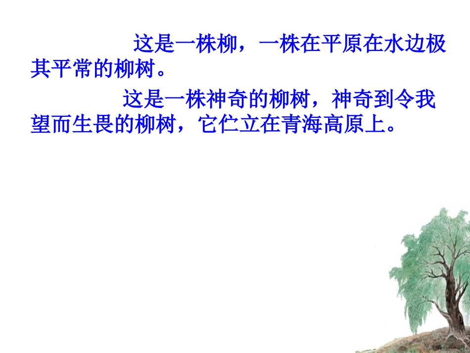 青海高原一株柳 (2)_第3页