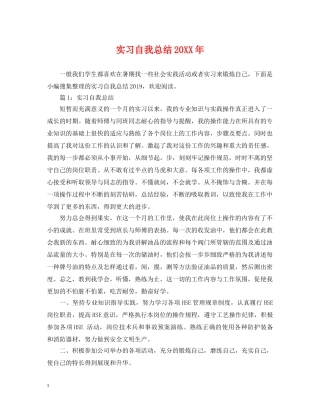实习自我总结20XX年 