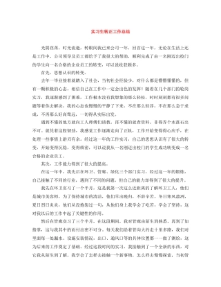 实习生转正工作总结 