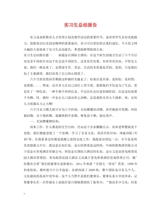 实习生总结报告 