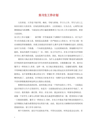 实习生工作计划 