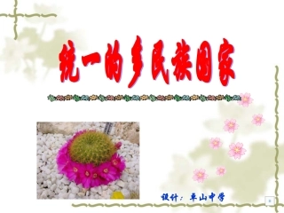 统一的多民族国家课件