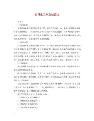实习生工作总结范文 
