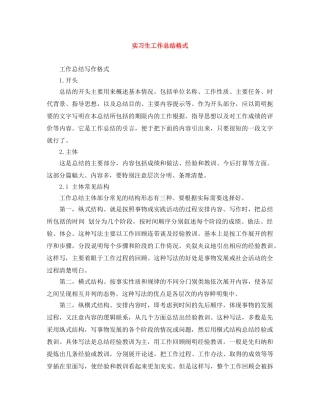 实习生工作总结格式 
