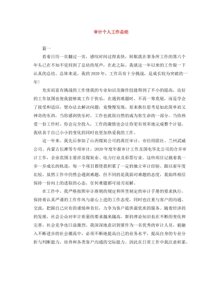 审计个人工作总结