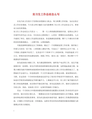 实习生工作总结怎么写 