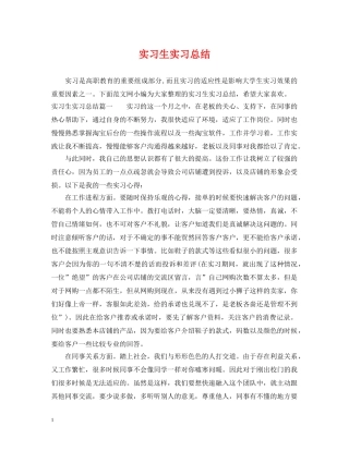 实习生实习总结 