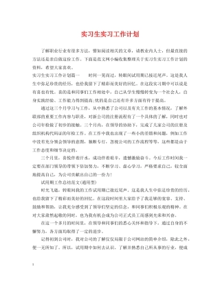 实习生实习工作计划 