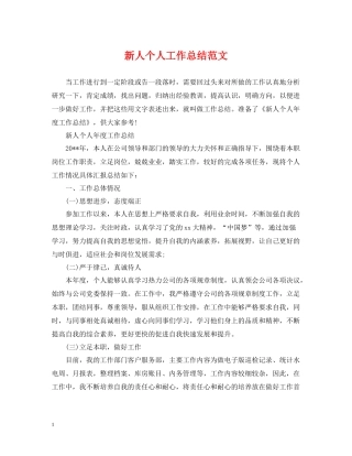 新人个人工作总结范文