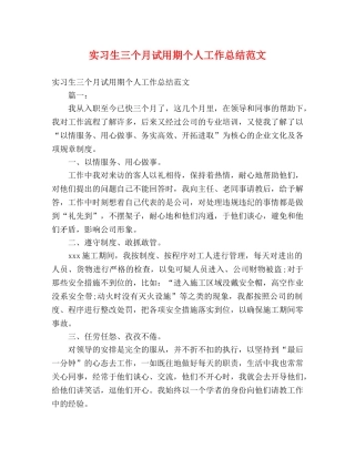 实习生三个月试用期个人工作总结范文 