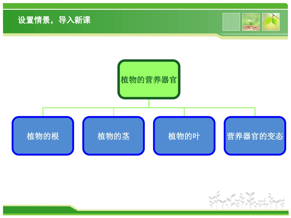 任务三植物的营养器官_第3页