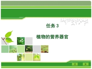 任务三植物的营养器官