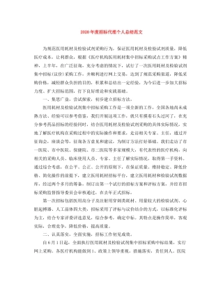 2020年度招标代理个人总结范文