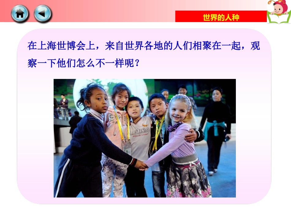 第二节世界的人种_第3页