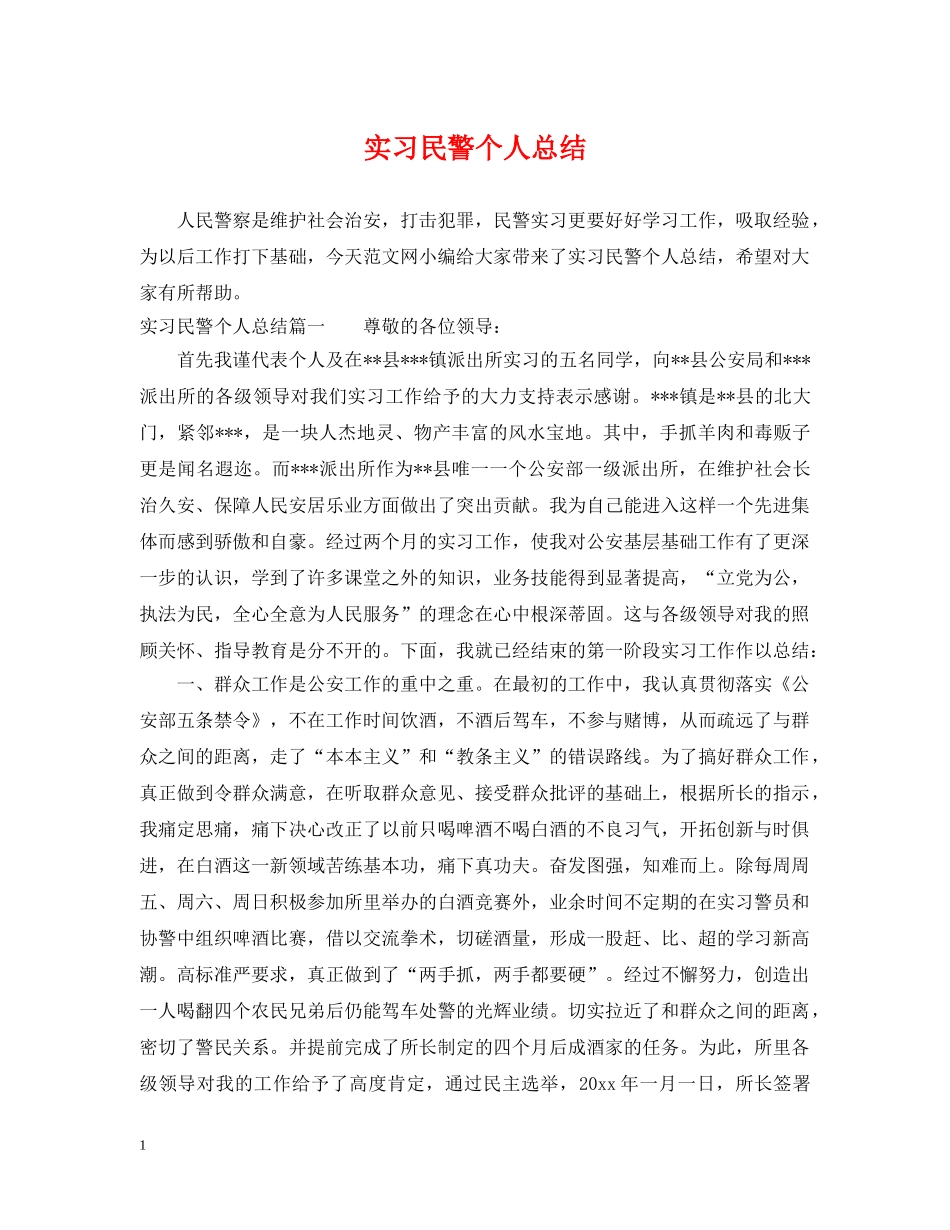 实习民警个人总结 _第1页