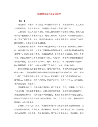 实习期转正工作总结2000字 