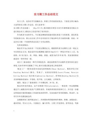 实习期工作总结范文 