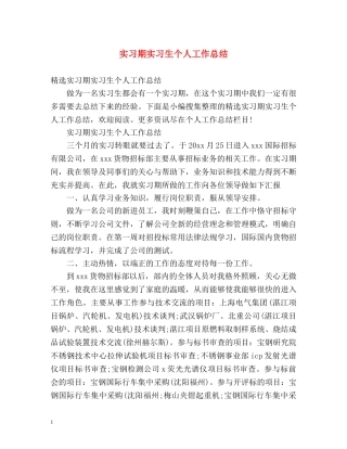 实习期实习生个人工作总结 