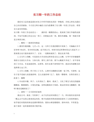 实习期一年的工作总结 