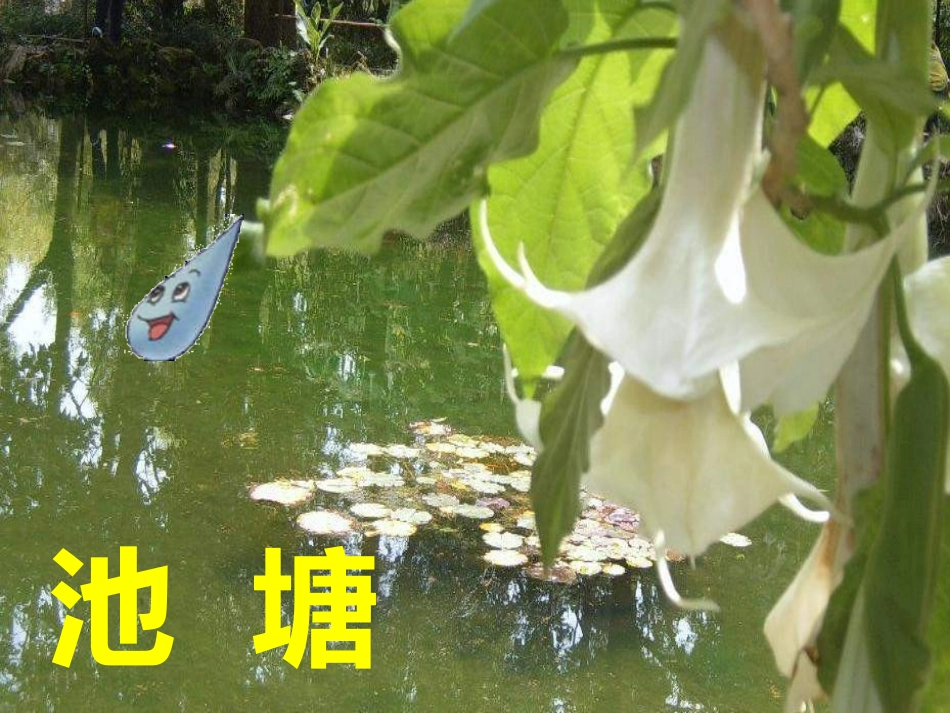 《雨点》课件_第3页