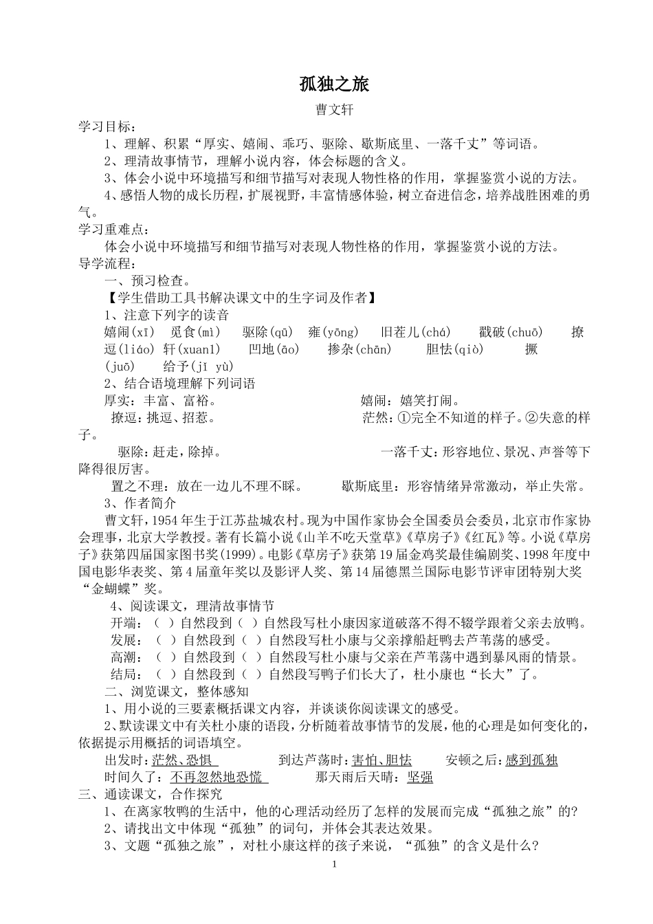 孤独之旅导学案_第1页