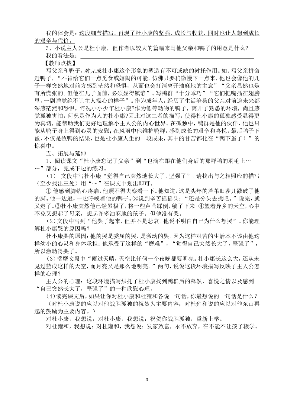 孤独之旅导学案_第3页