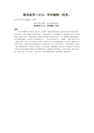 梅须逊雪三分白 (2)