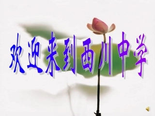 捕捉动情点，抒写真情感