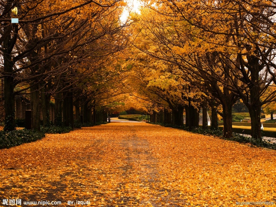 秋天的雨 (5)_第1页