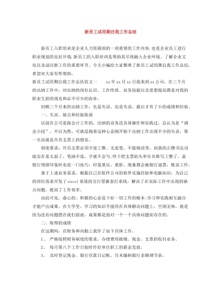 新员工试用期自我工作总结