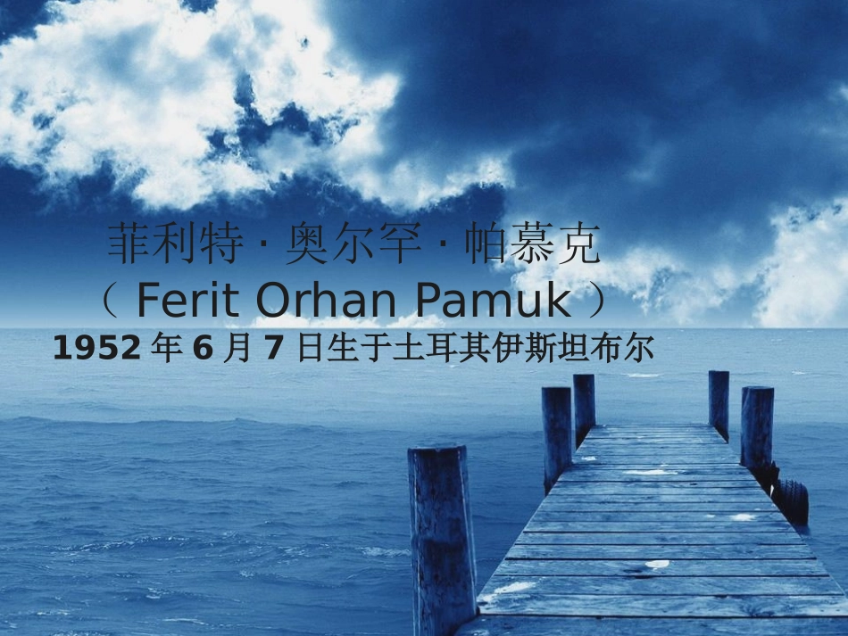 父亲的手提箱_第2页