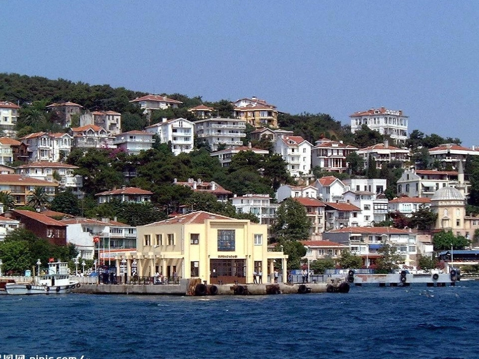 父亲的手提箱_第3页