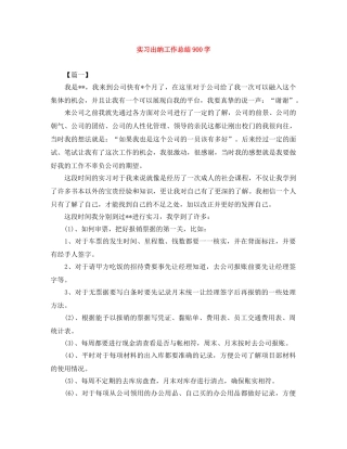 实习出纳工作总结900字 
