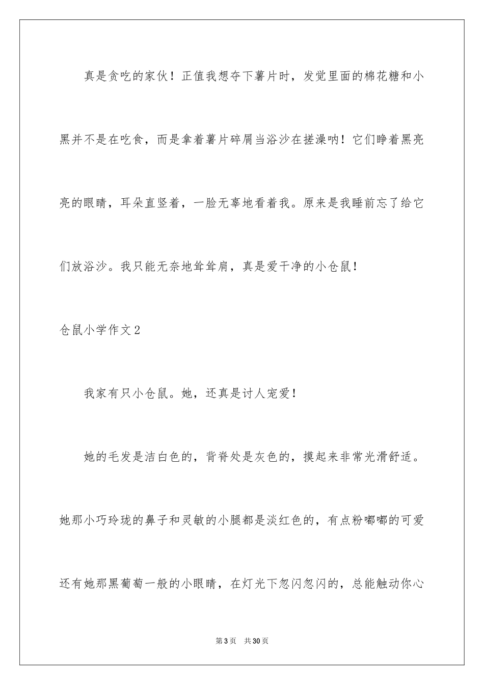 2024仓鼠小学作文_1_第3页