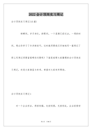 2024会计顶岗实习周记_25