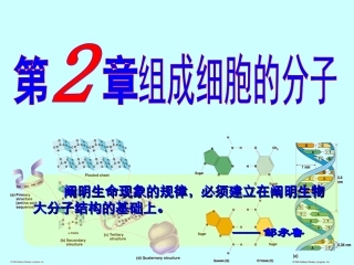 细胞中的元素和化合物课件（人教版必修I）