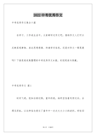 2024中考优秀作文_297