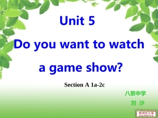 2013人教版八年级上册unit5do_you_want_to_watch_a_game_show