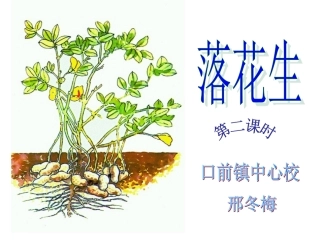 《落花生》教学课件