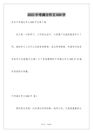 2024中考满分作文600字_112