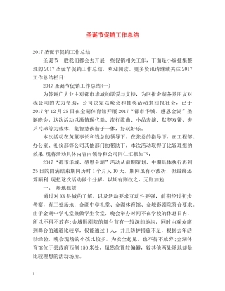 圣诞节促销工作总结 