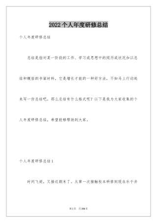 2024个人年度研修总结_2